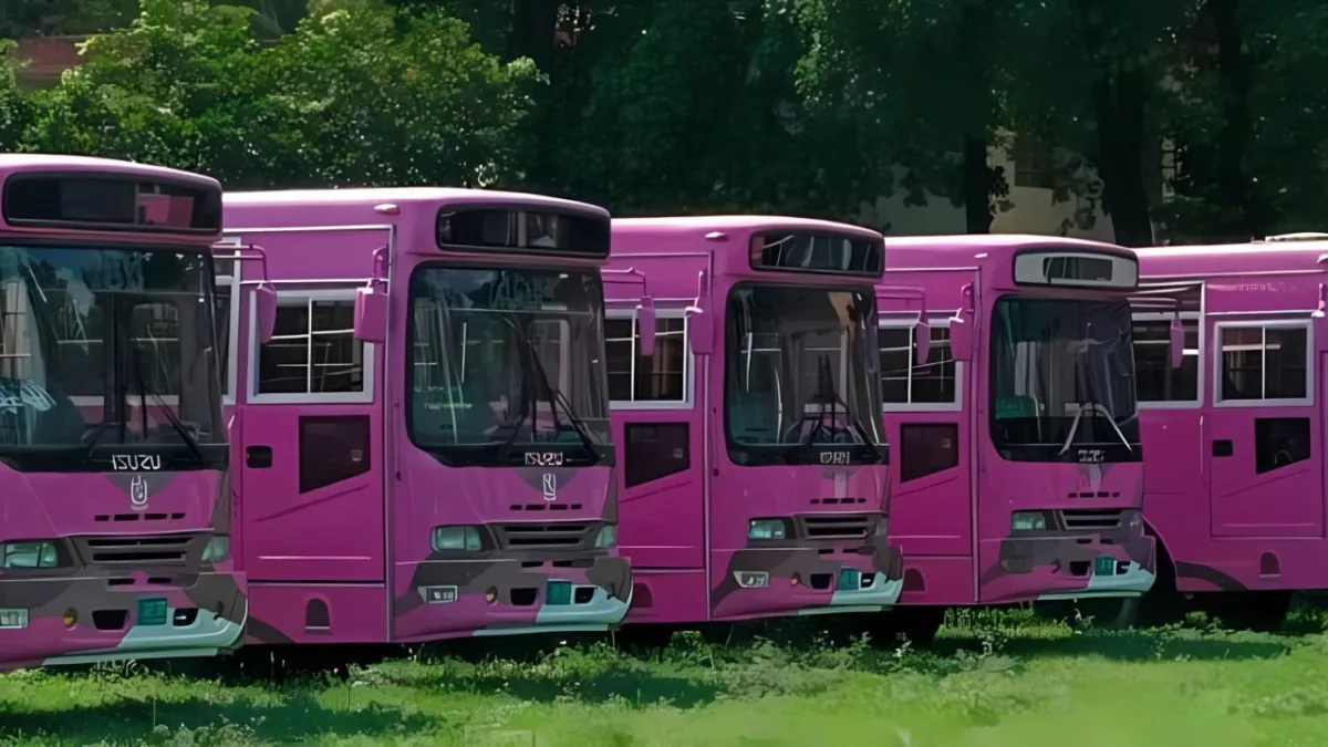 Islamabad introduces pink bus service for women [routes update]