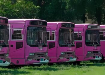 Islamabad Introduces Pink Bus Service for Women [Routes Update]