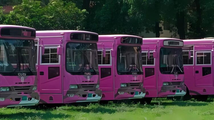 Islamabad Introduces Pink Bus Service for Women [Routes Update]