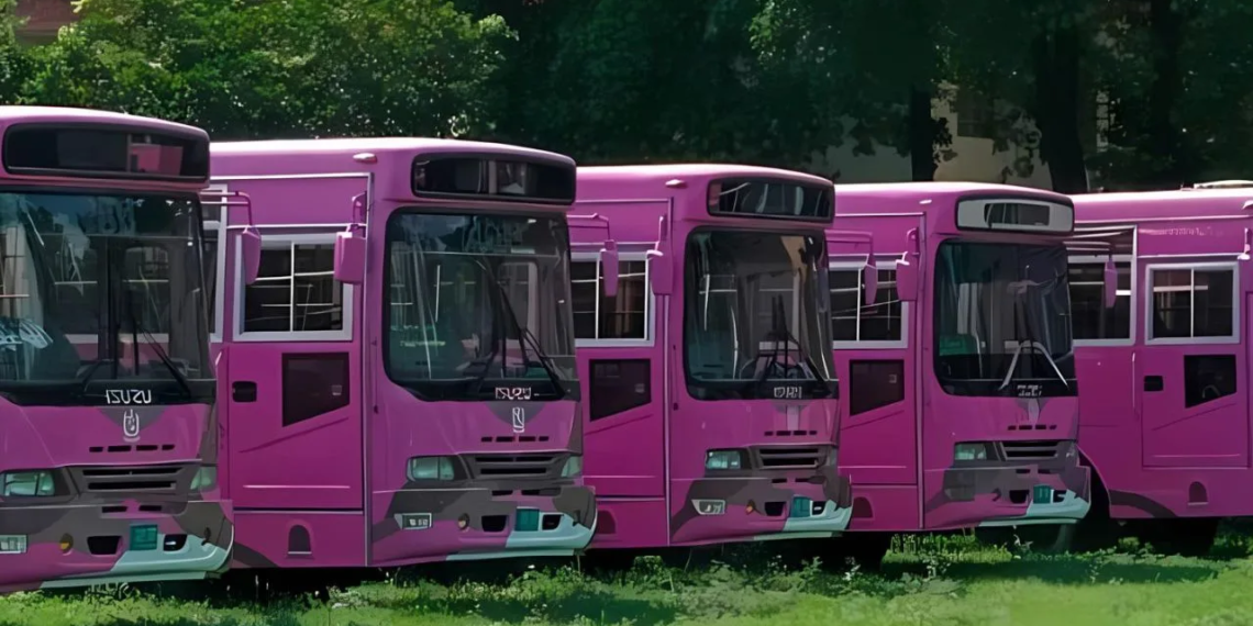 Islamabad Introduces Pink Bus Service for Women [Routes Update]