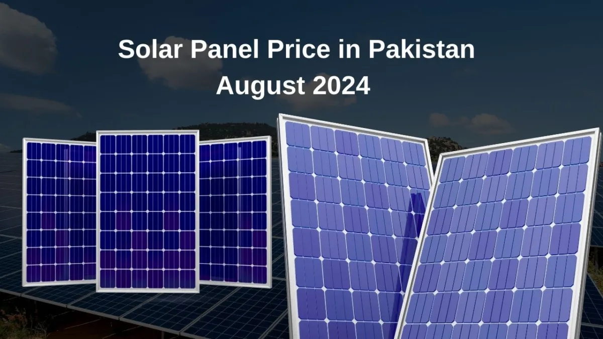 Historic Low: Solar Panel Price in Pakistan - August 2024 