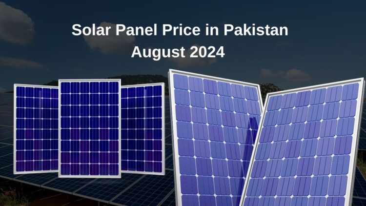 Historic Low: Solar Panel Price in Pakistan - August 2024