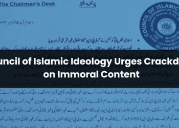 Council of Islamic Ideology Urges Crackdown on Immoral Content