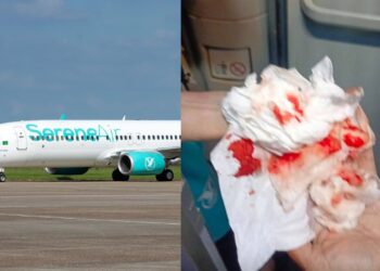 SereneAir flight ER540 Passenger Attacks Crew